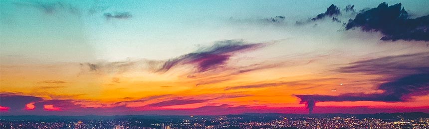 乐清茶虫网_乐清品茶